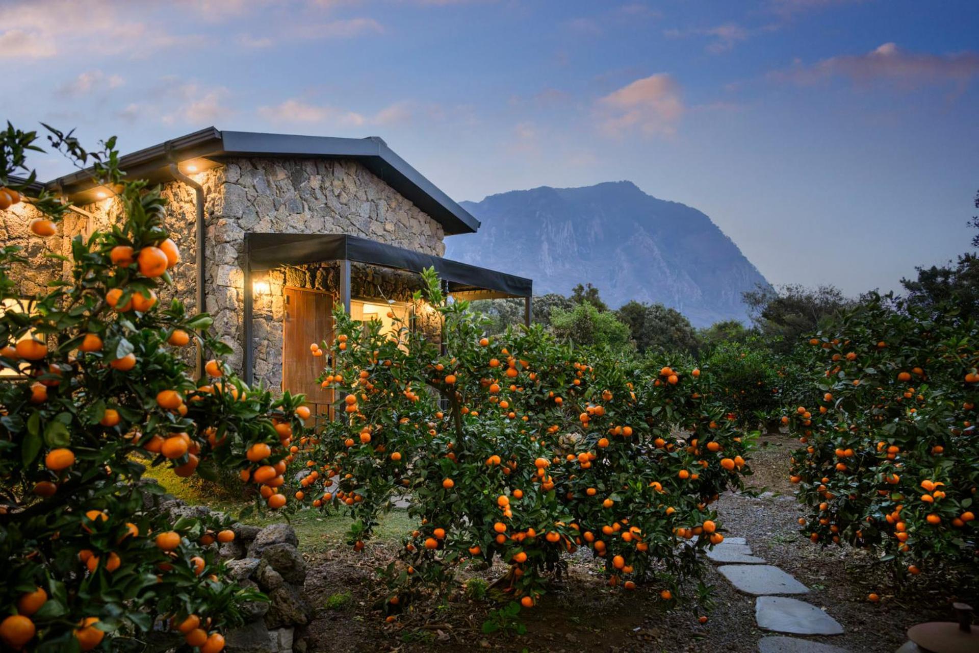 Wol Yeong Sa Gye Villa Seogwipo Exterior photo